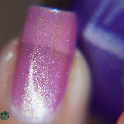 Birds of Paradise.011 Purple Nail Polish