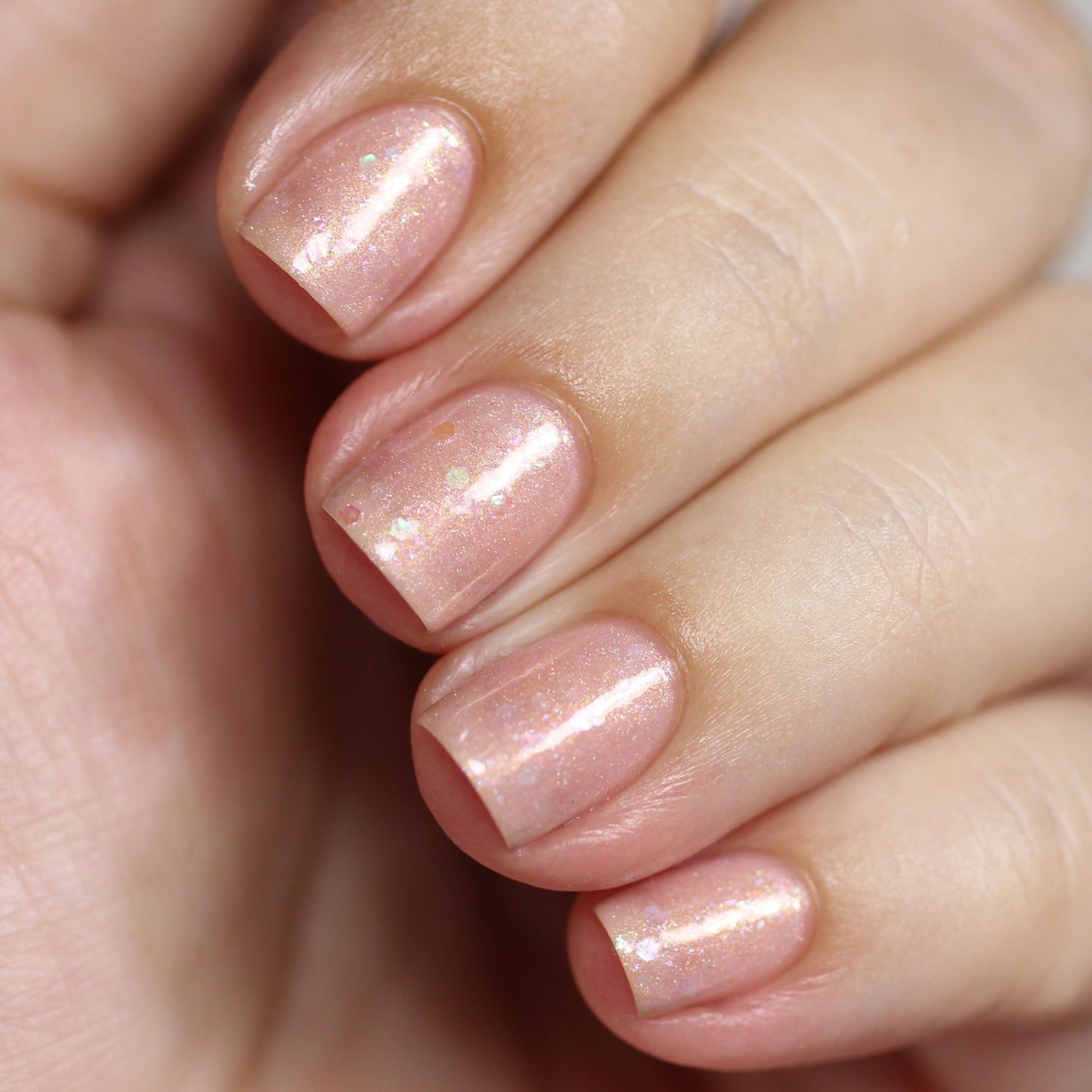 Rosaceae.022 Pink Nail Polish
