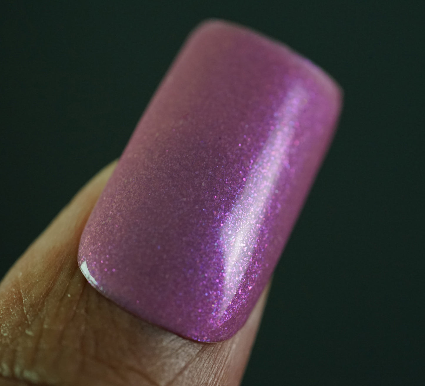 Kentucky Wisteria.102