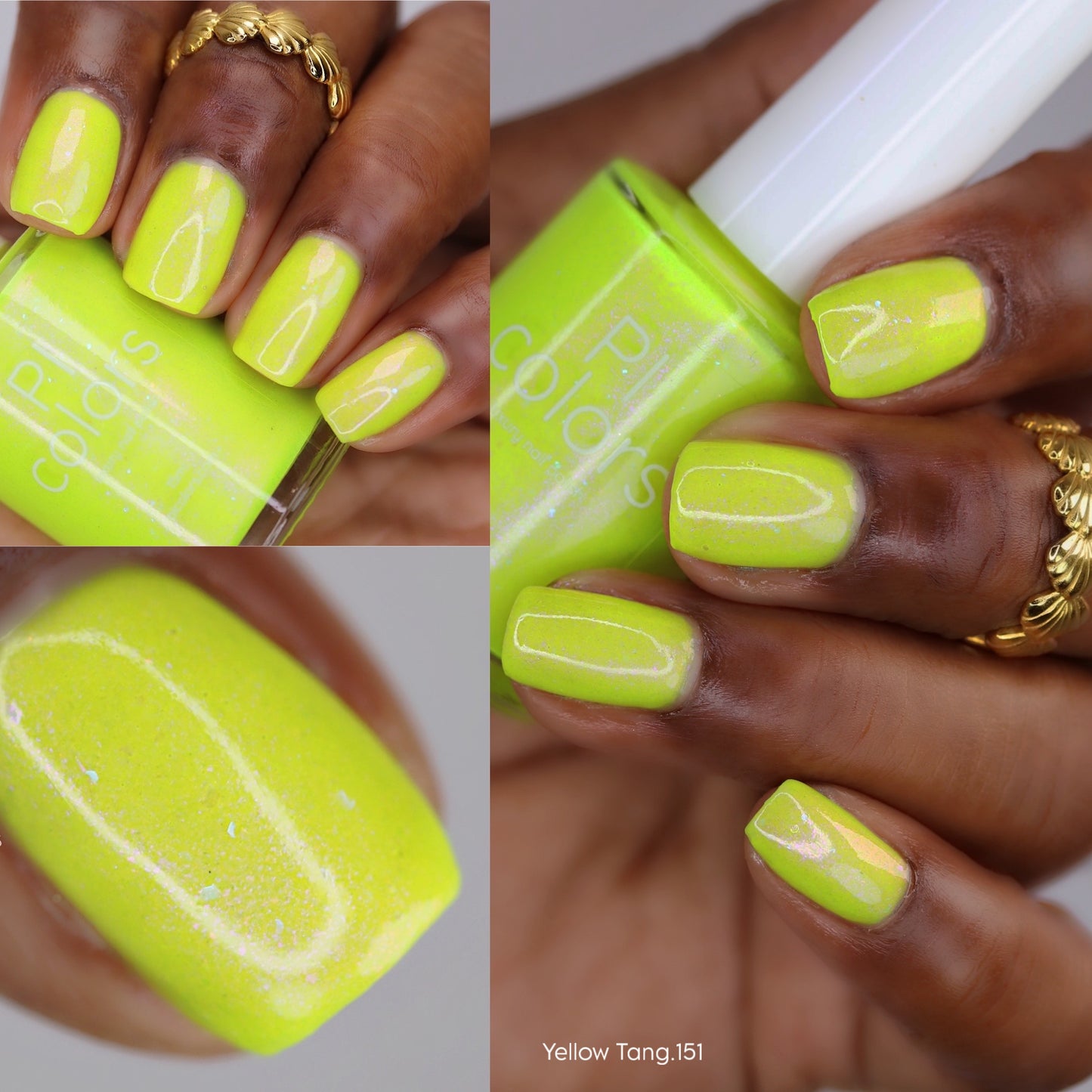 Yellow Tang.151