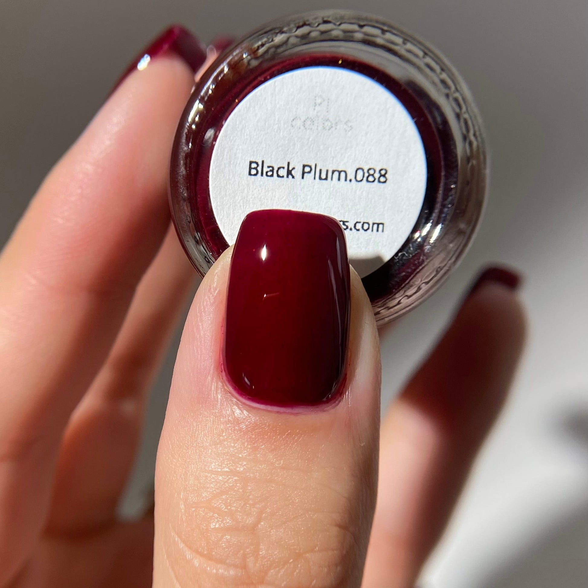 Nail polish jar labeled 'Black Plum.088' held by a hand with dark red nail polish.
