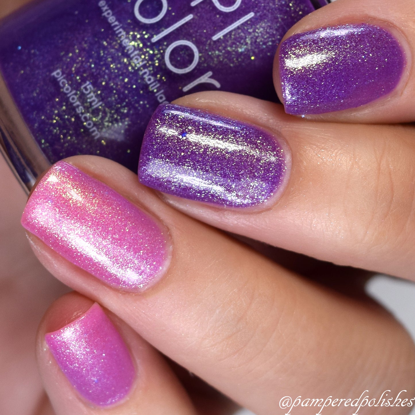 Birds of Paradise.011 Purple Nail Polish