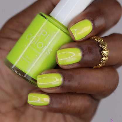 Yellow Tang.151