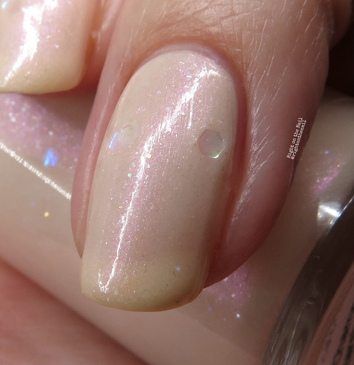 Champagne Marshmellow.202 Cream Nail Polish