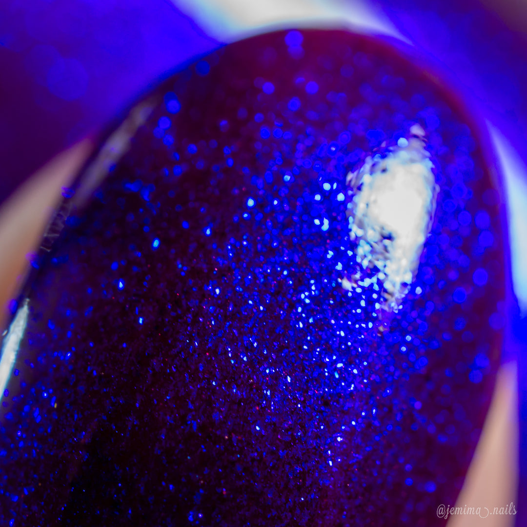Sparkling Veil.117