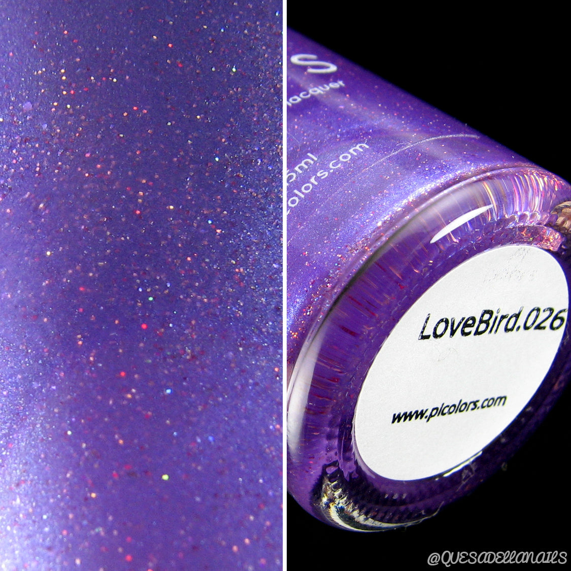 LoveBird.026 Purple Nail Polish