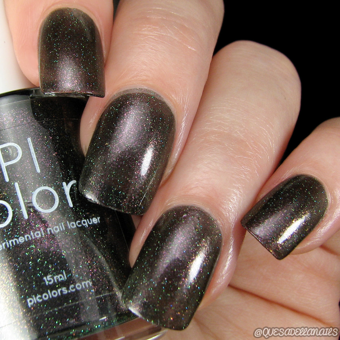 Rose Forest.059 – PI Colors