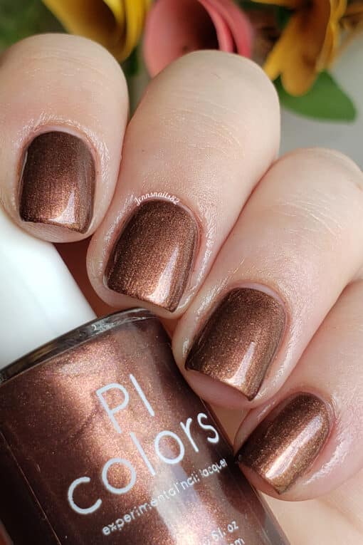 Chocolate Bacon.098 Deep Red Brown Nail Polish by PI Colors